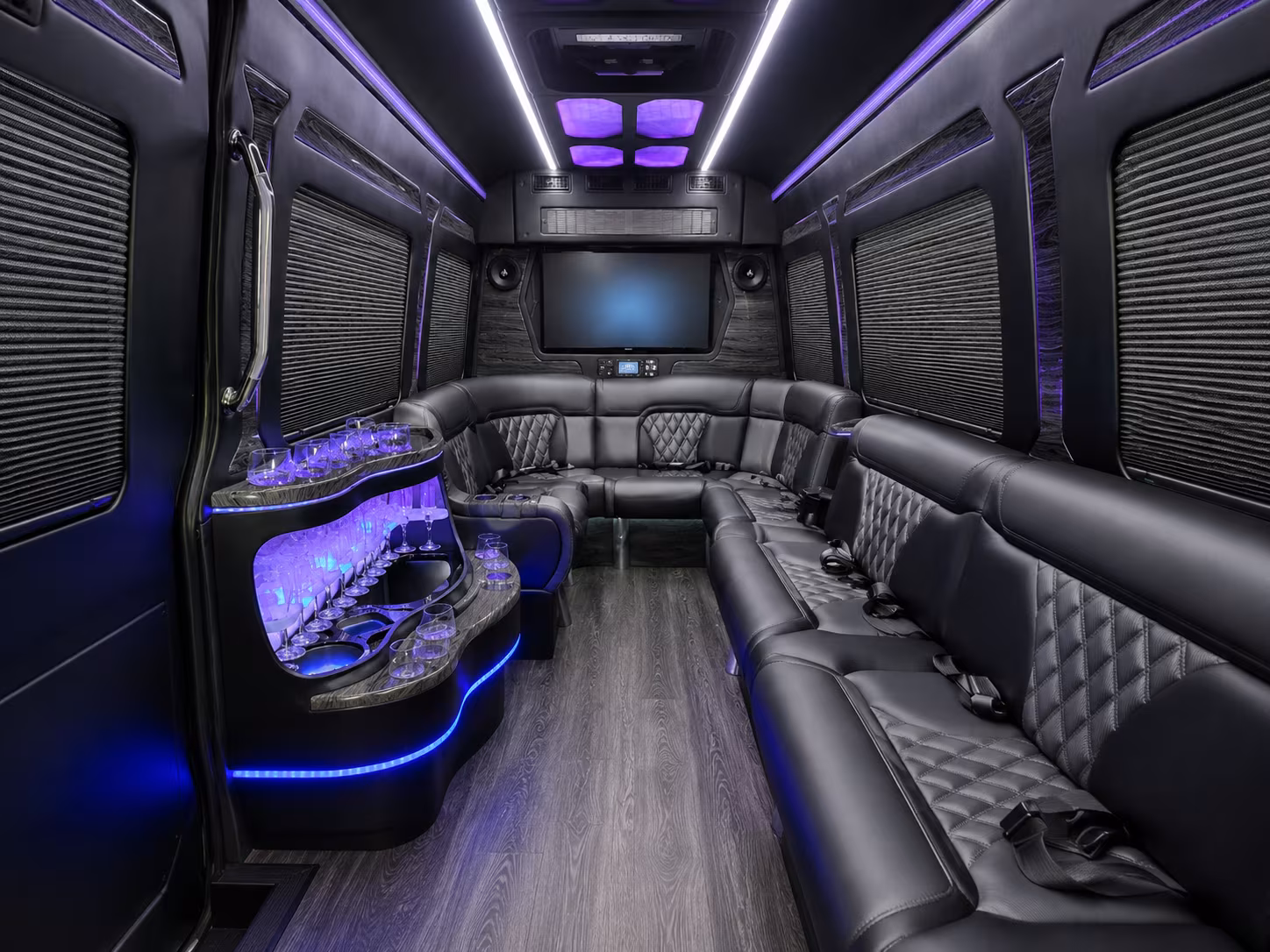 ann arbor 25 passenger party bus