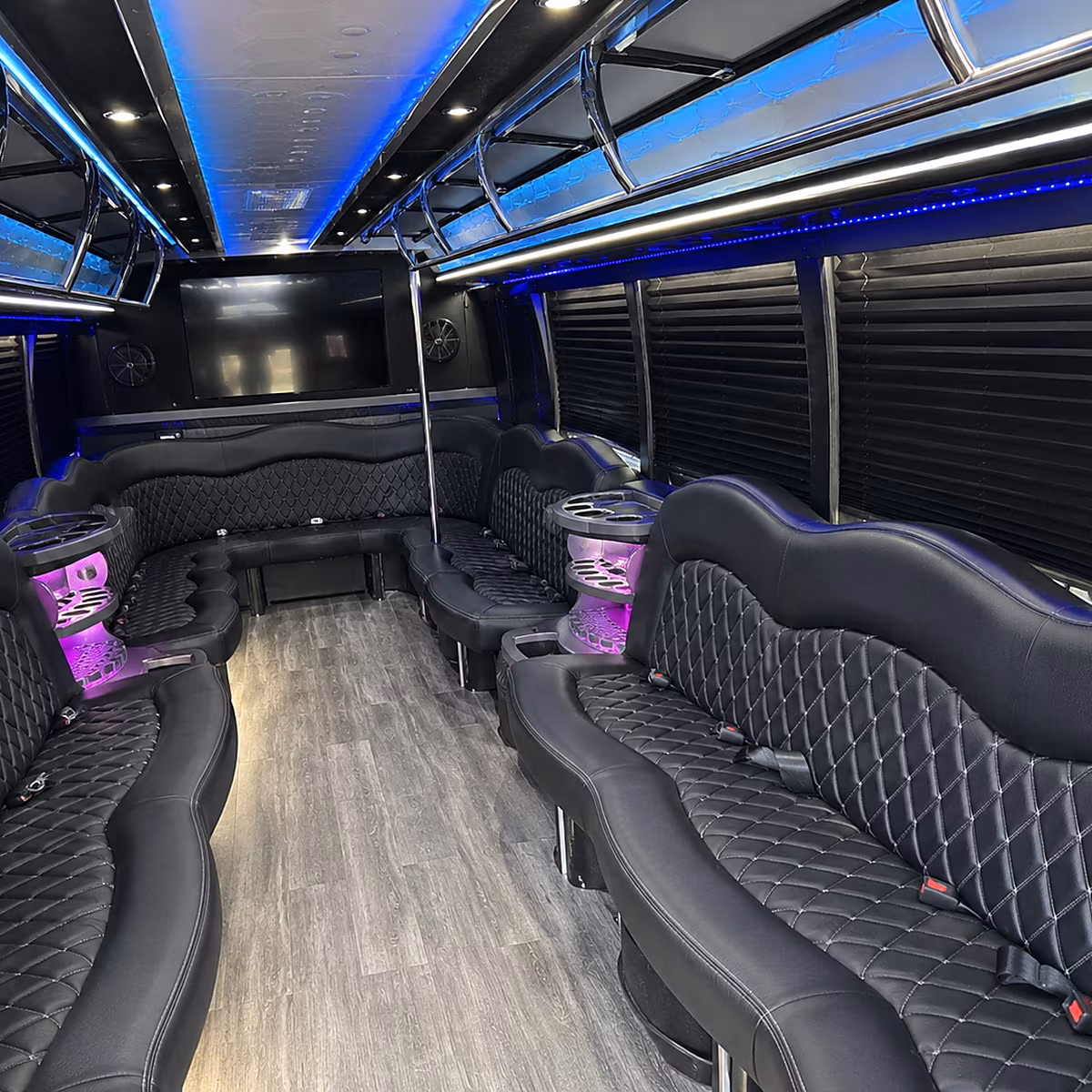 ann arbor party bus inside