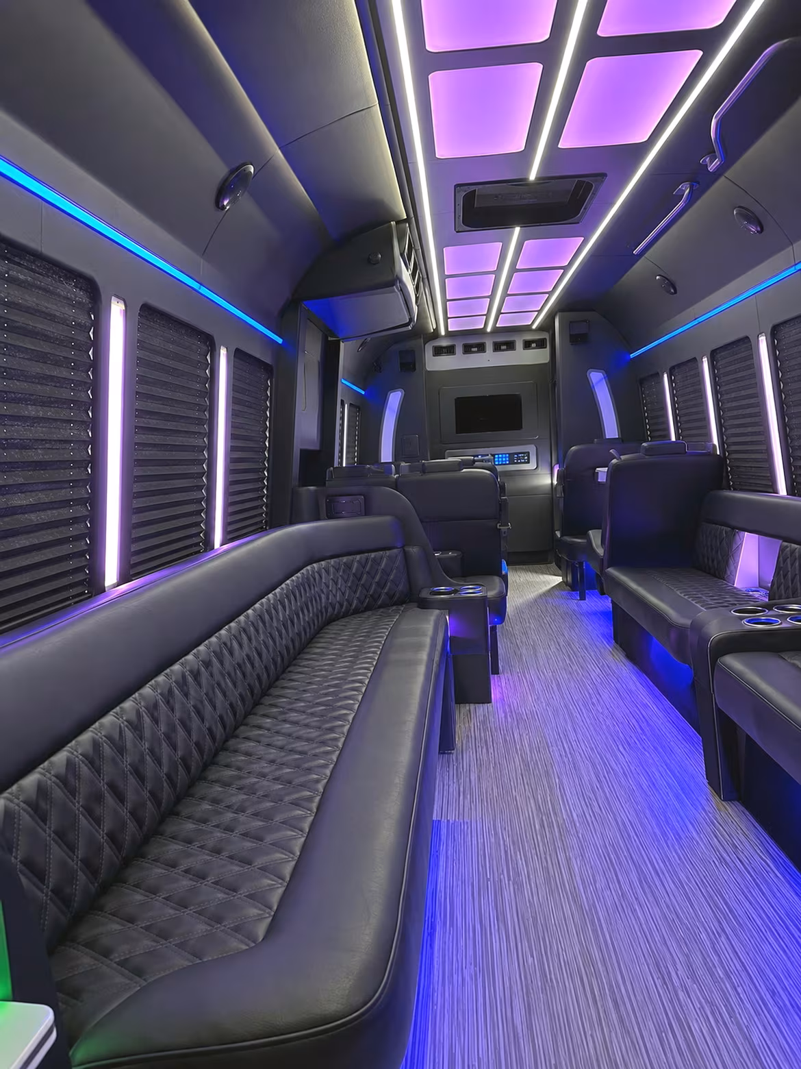 ann arbor quincea n era sweet 16 party bus rental